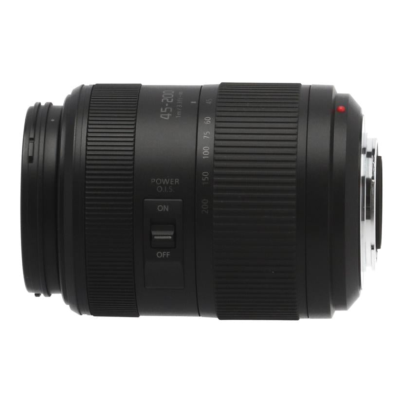 Panasonic パナソニック /交換レンズ/45-200mm/H-FSA45200//XT9LA101153/Bランク/05