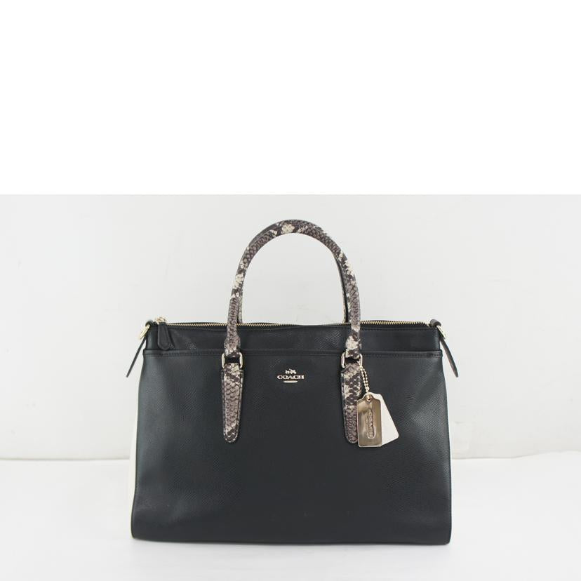 COACH コーチ/パイソン柄2Wayショルダーバック/F35887//J15**/ABランク/64
