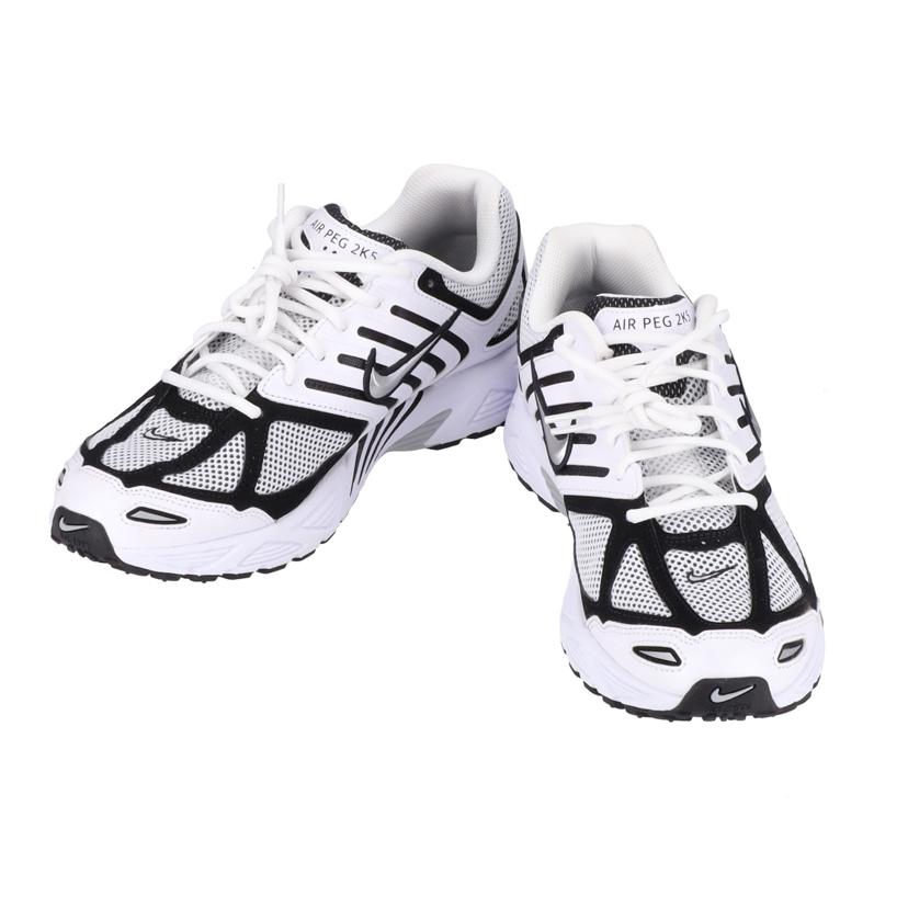 NIKE ナイキ/NIKE AIR PEG 2K5/FJ1909-100//ABランク/70