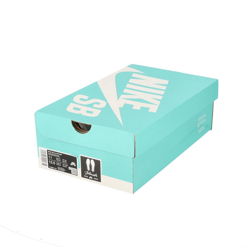 NIKE ナイキ/NIKE SB ALLEYOOP/CJ0882-104//Sランク/05