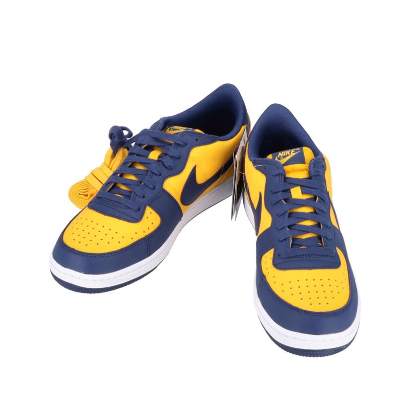 NIKE ナイキ/NIKE ナイキ TERMINATOR LOW/FJ4206-700//ABランク/70