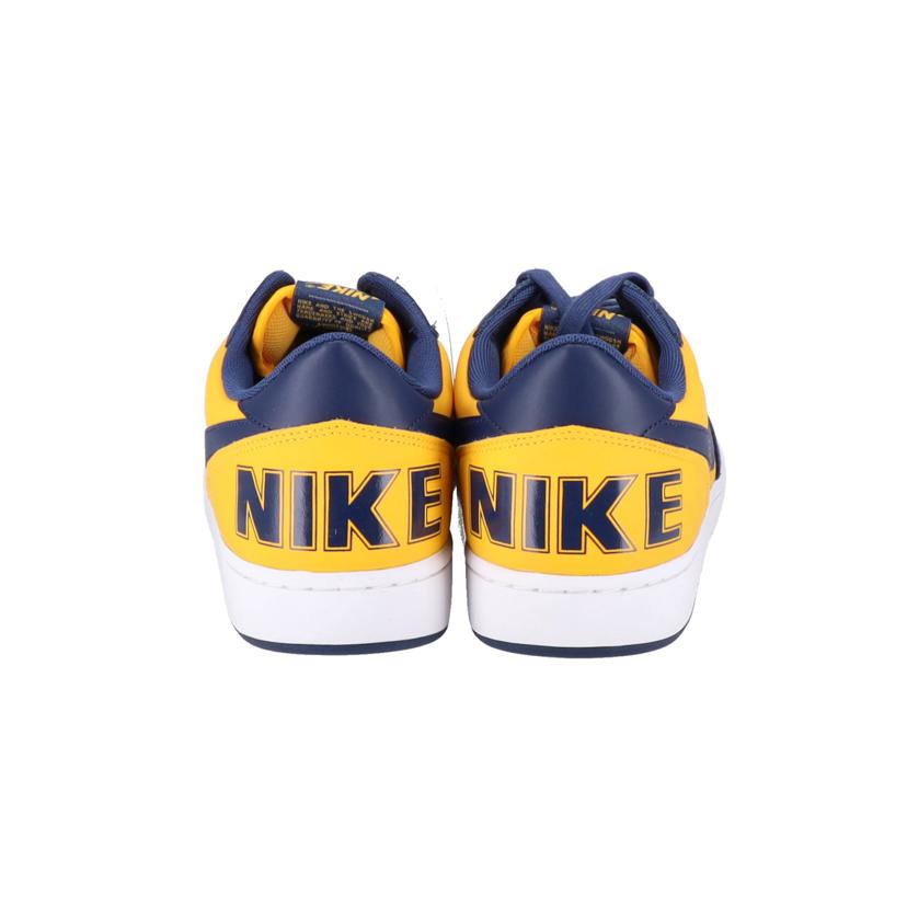 NIKE ナイキ/NIKE ナイキ TERMINATOR LOW/FJ4206-700//ABランク/70