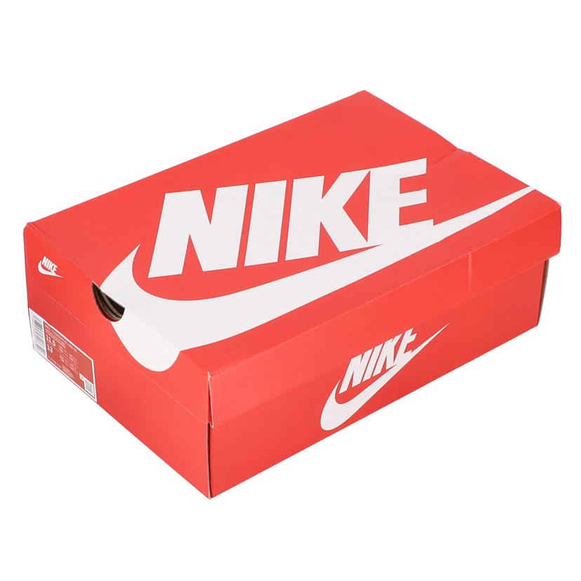 NIKE ナイキ/NIKE ナイキ TERMINATOR LOW/FJ4206-700//ABランク/70