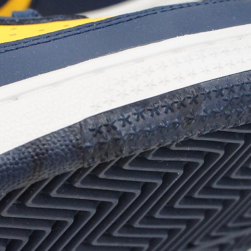 NIKE ナイキ/NIKE ナイキ TERMINATOR LOW/FJ4206-700//ABランク/70