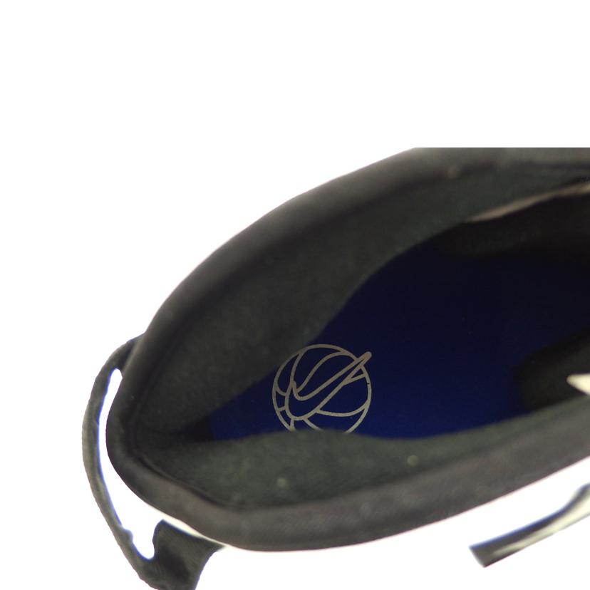 NIKE ナイキ/AIR ZOOM FLIGHT 95/ブラック/DV0820-100//Aランク/82