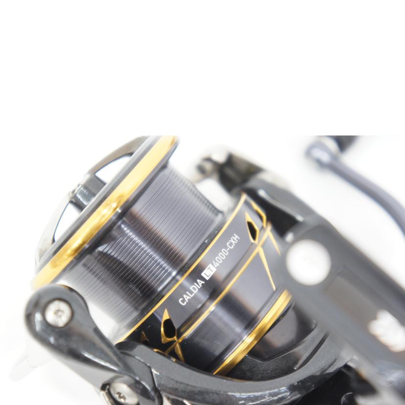 DAIWA ダイワ/21カルディアLT 4000-CXH 右/CALDIA LT/スピニングリール//Bランク/05