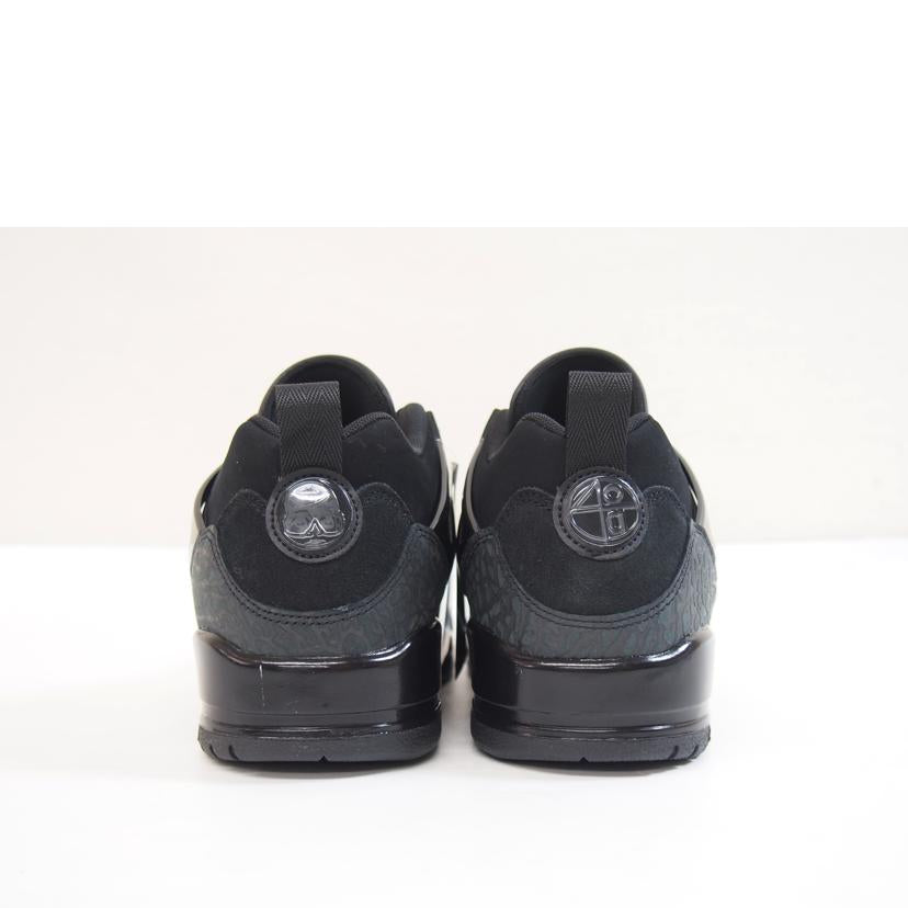 NIKE ナイキ/NIKE Jordan Spizike Low Black Cat/FQ1759-001//Sランク/71