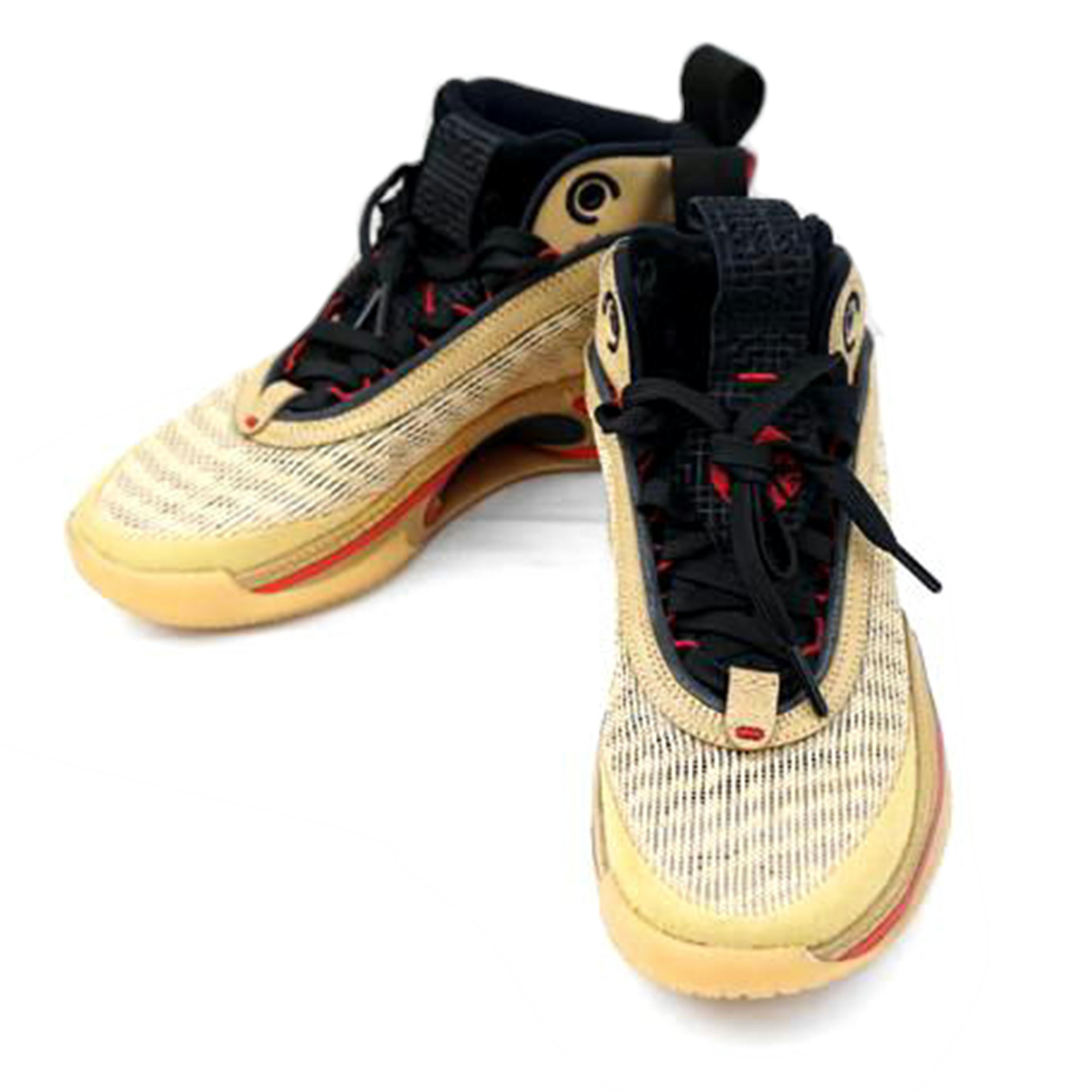 NIKE ナイキ/NIKE AIR JORDAN 36 SE RUI 25.5/DO2494-260//Aランク/67