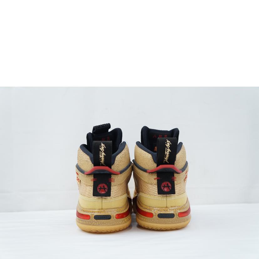 NIKE ナイキ/NIKE AIR JORDAN 36 SE RUI 25.5/DO2494-260//Aランク/67