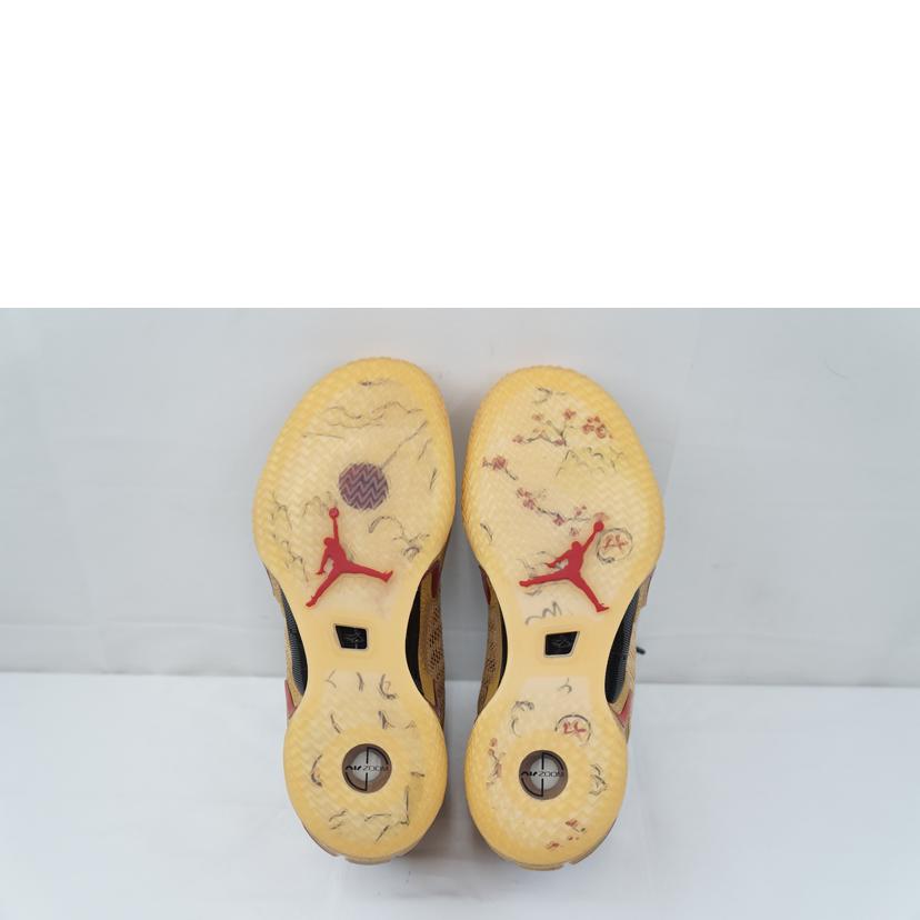 NIKE ナイキ/NIKE AIR JORDAN 36 SE RUI 25.5/DO2494-260//Aランク/67