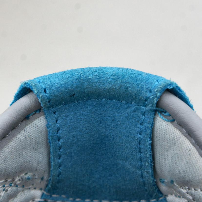 NIKE ナイキ/コルテッツスペシャル ユニオン/DR1413-002//Aランク09