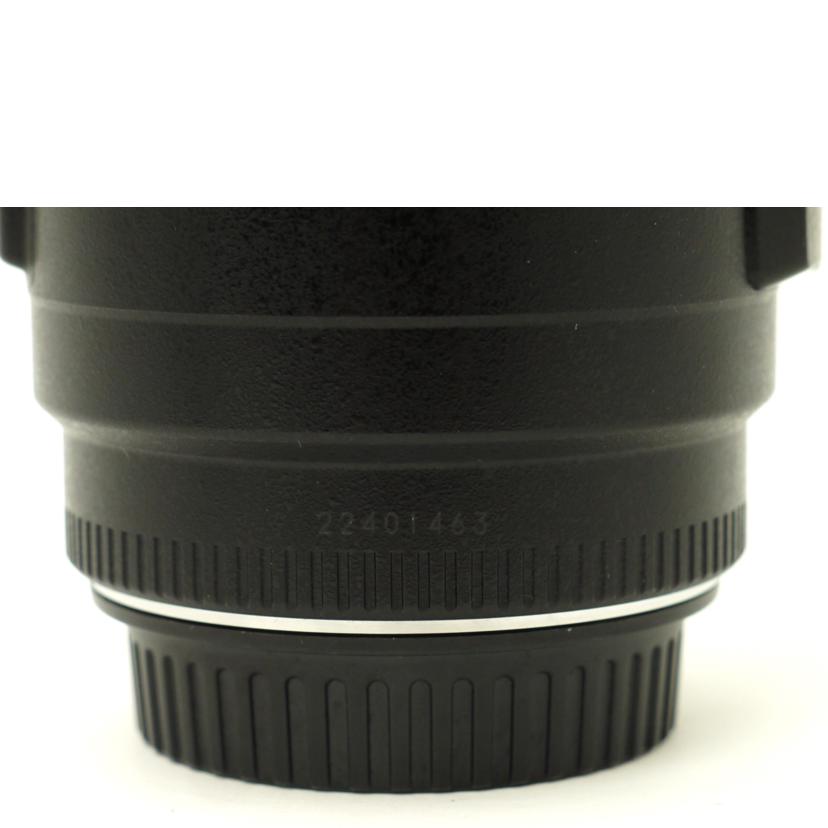 Canon キャノン/望遠ズームレンズ/EF70-300mm F4-5.6 IS USM//22401463/ABランク/69