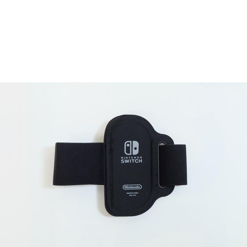 /NINTENDO SWITCH SPORTS//Sランク/71