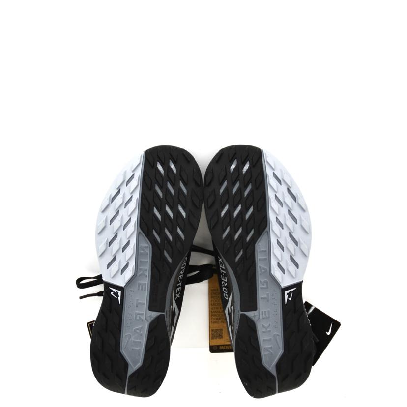 NIKE ナイキ/W PEGASUS/FQ0912-001//Sランク/75