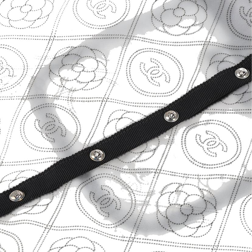 CHANEL シャネル/CHANELバッグ用レインカバー//255*****/Aランク/75