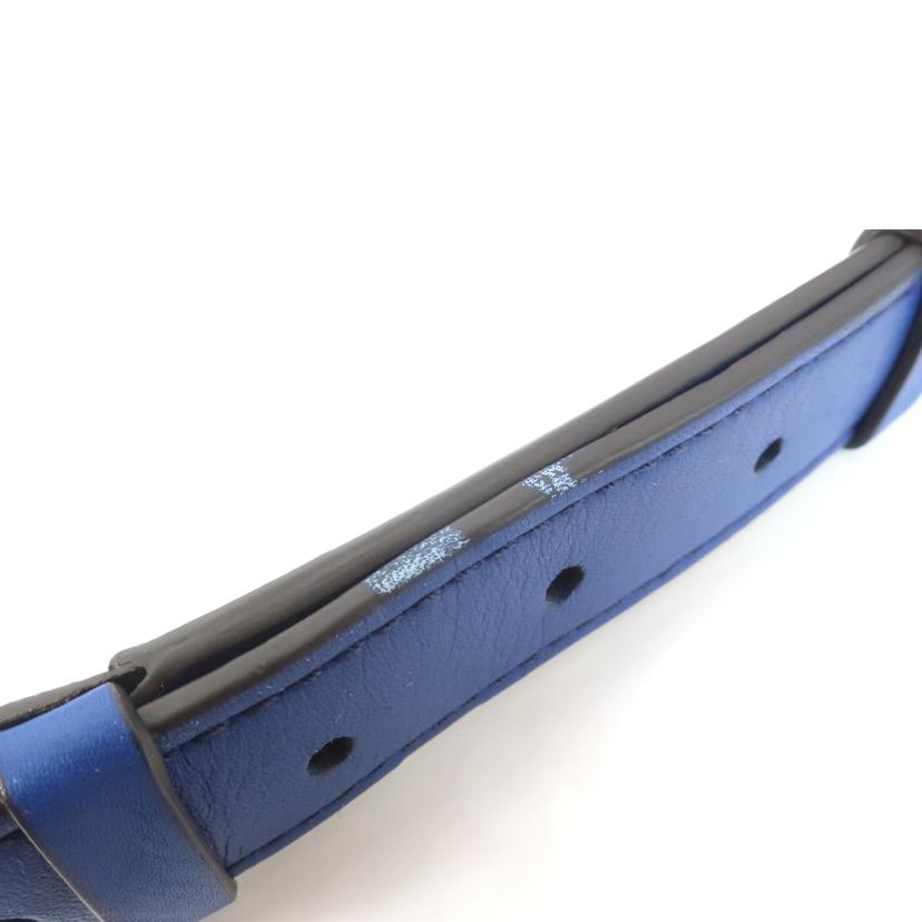 COLE HAAN コールハン/2WAYショルダーバッグ ブルー/CHO11630//ABランク/65