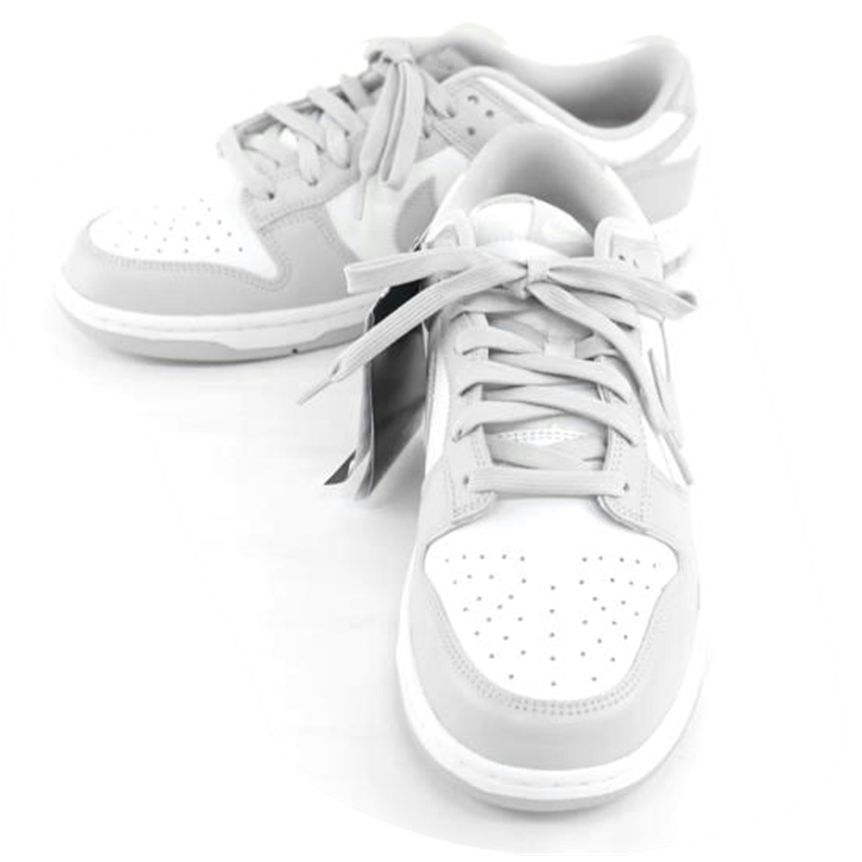 NIKE ナイキ/NIKE DUNK LOW RETRO/DD1391-103//Aランク/64