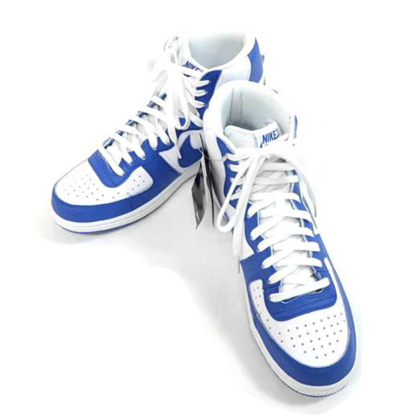NIKE ナイキ/ターミネーターHIGH/FN6836-100//Aランク/71