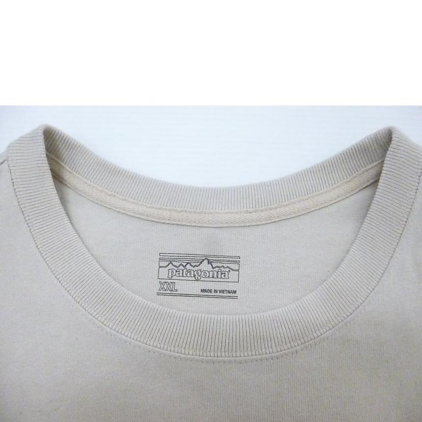patagonia/ポケットティー/52365SP20//ABランク/88