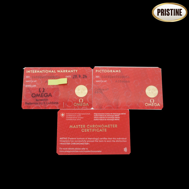 OMEGA オメガ/シーマスターダイバー300コーアクシャル・マスタークロノメーター/210.30.42.20.03.001//A25****/SAランク/84