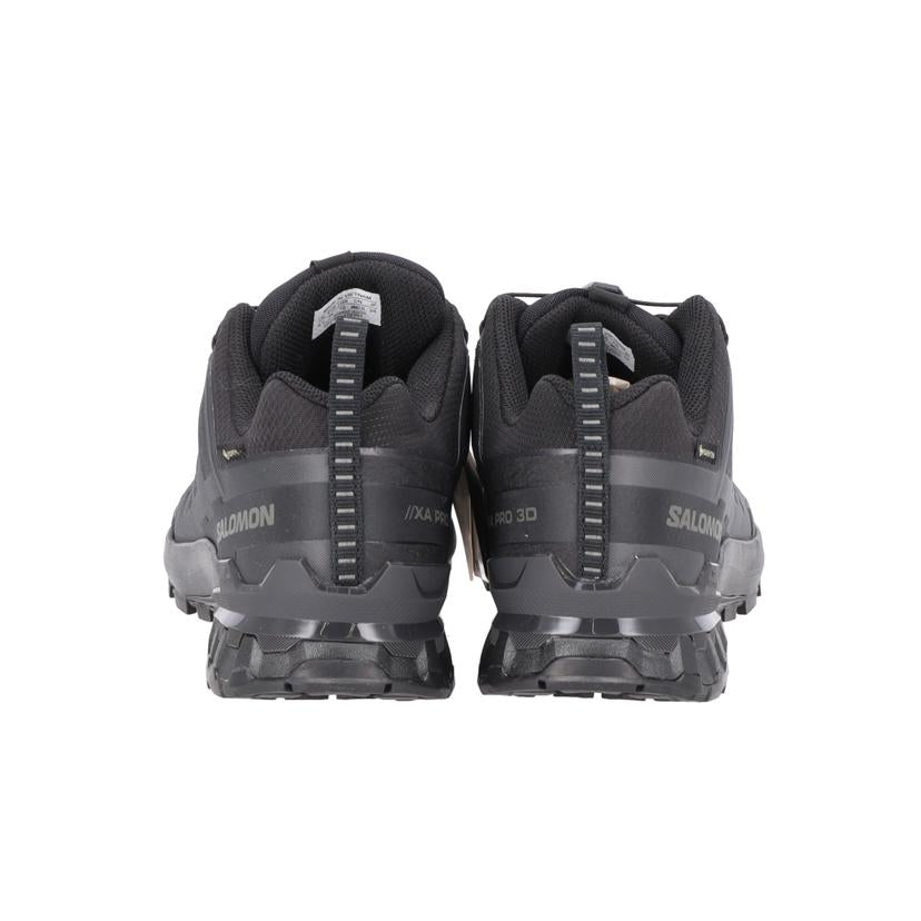 SALOMON サロモン/SALOMON XA PRO 3D V9 GTX //SAランク/78