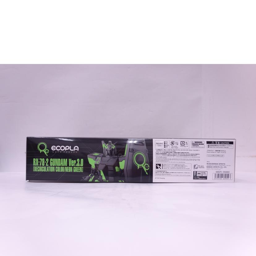 BANDAI バンダイ/MG/ガンダム Ver.3.0 エコプラ//Aランク/42