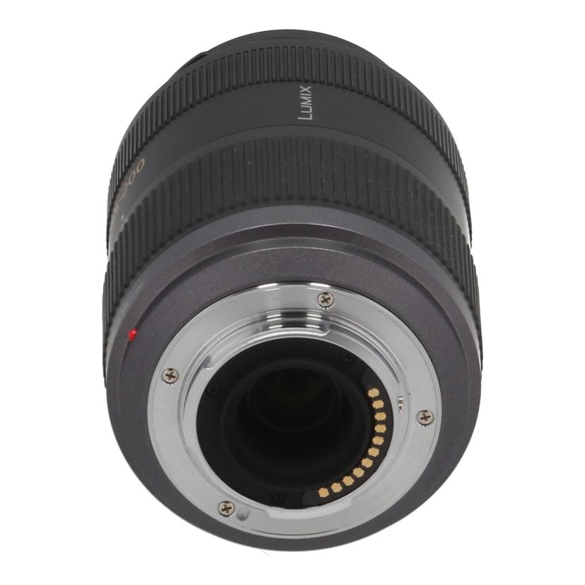 Panasonic パナソニック /交換レンズ/45-200mm /H-FS045200//XT8LA003238/Cランク/69