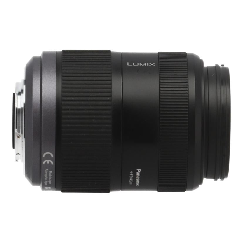Panasonic パナソニック /交換レンズ/45-200mm /H-FS045200//XT8LA003238/Cランク/69