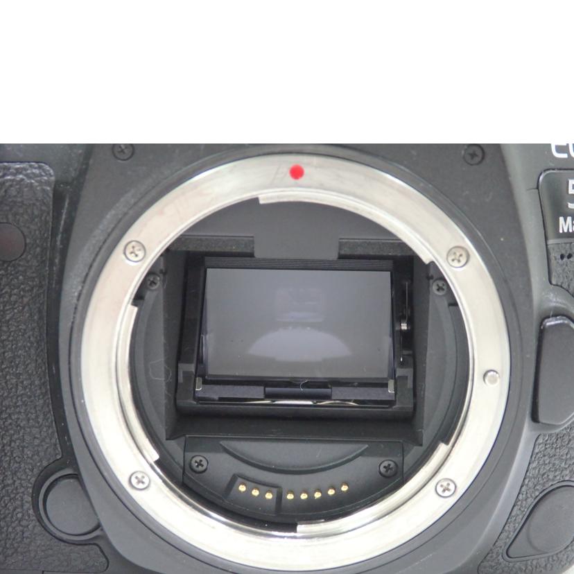 Canon キャノン/デジタル一眼カメラ/EOS 5D MarkIV//181056000/Bランク/84