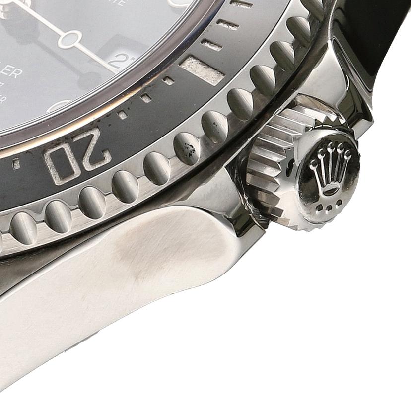 ROLEX ROLEX/シードゥエラー・ブラック/ランダム番/116600//EG9*****/Aランク/78