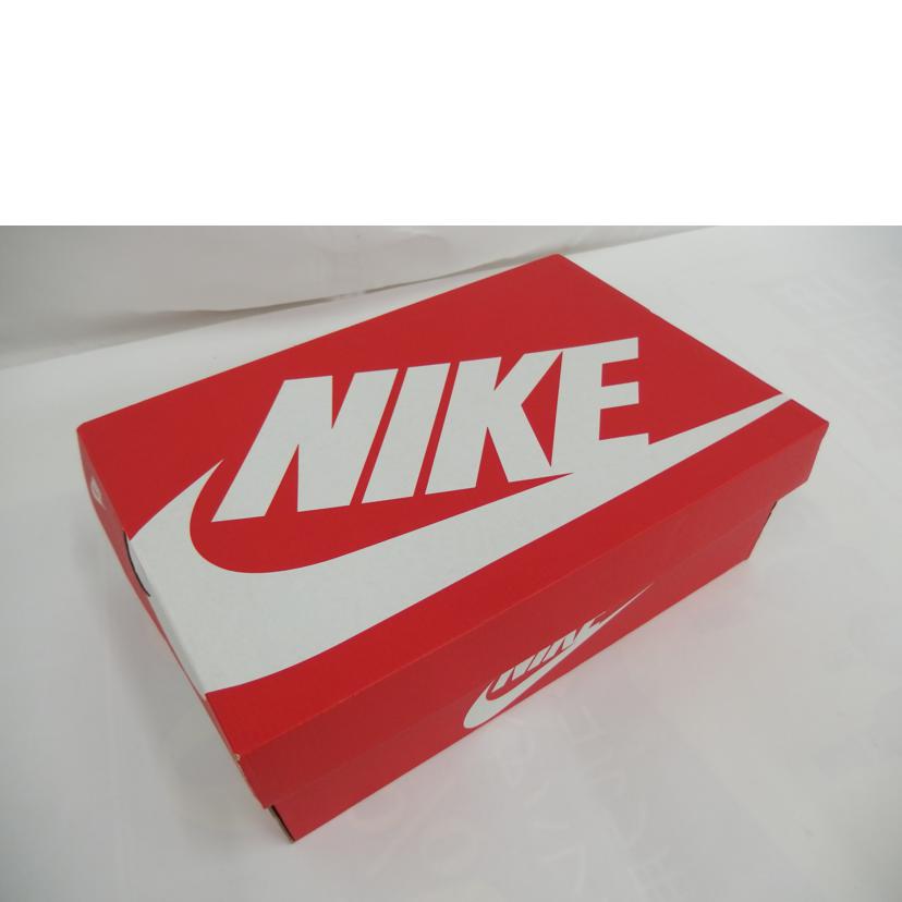 NIKE ナイキ/AIR DUNK JUMBOライトオールウッドブラウン/DV0821-101//Aランク/82