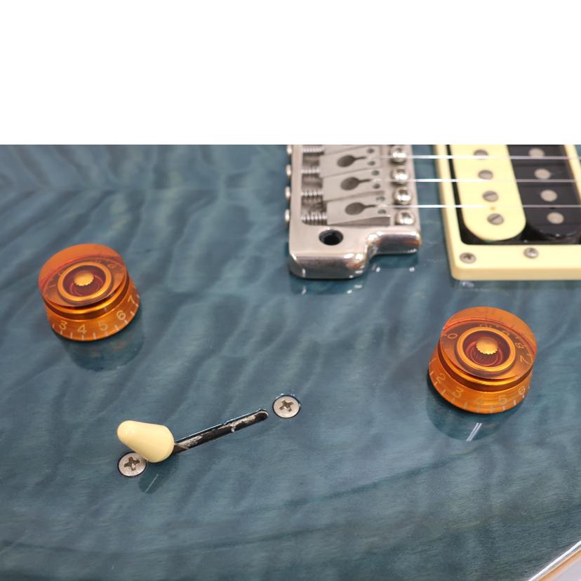PRS ポールリードスミス/エレキギター アームなし/SE Custom24//N12254/Bランク/65