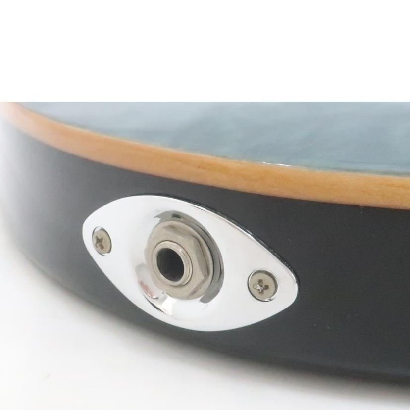 PRS ポールリードスミス/エレキギター アームなし/SE Custom24//N12254/Bランク/65