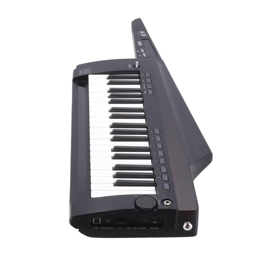 KORG コルグ /シンセサイザー/ステージキーボード/PK-100S 2BK//002630/ABランク/62