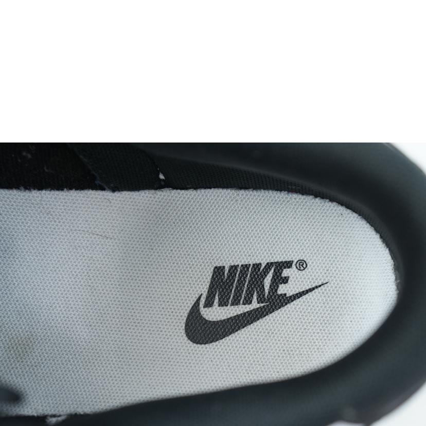 NIKE ナイキ/NIKE DUNK LOW RETRO 30.0/DD1391-100//ABランク/67