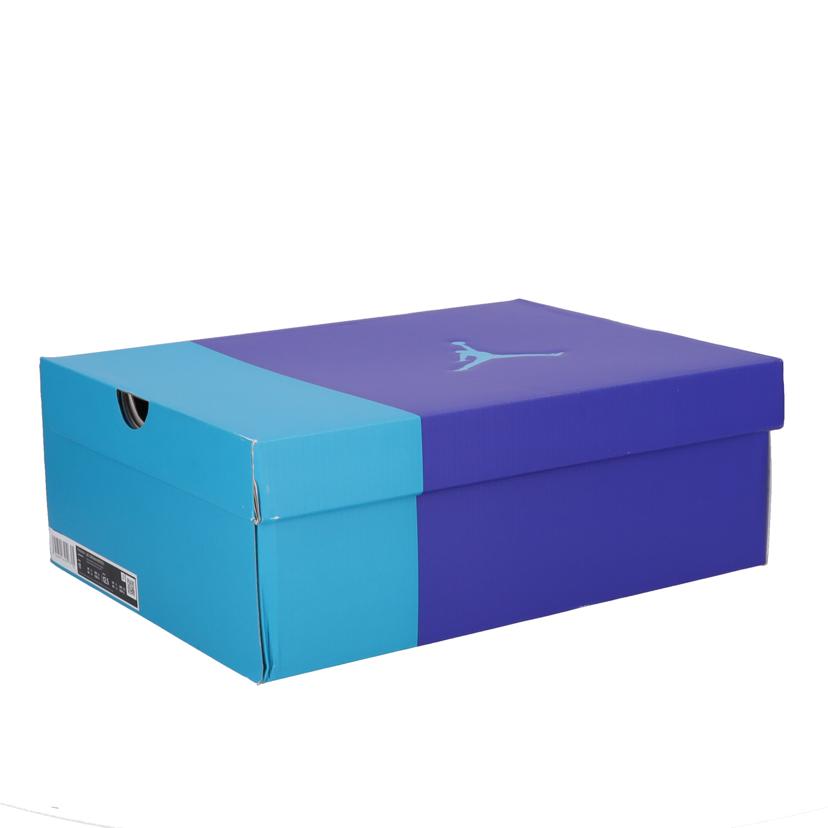 NIKE ナイキ/AIRJORDAN6 RETRO Aqua"/CT8529-004//SAランク/09