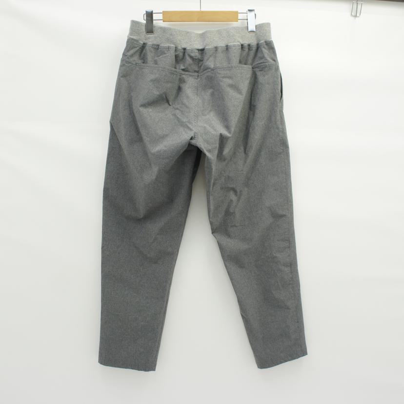 THE NORTHFACE ノースフェイス/トレーニングリブクロップドパンツ/NB31888//ABランク/09