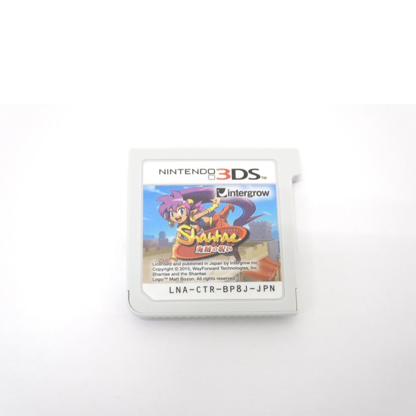 intergrow/3DS シャンティ 海賊の呪い/CTR-P-BP8J//Aランク/88