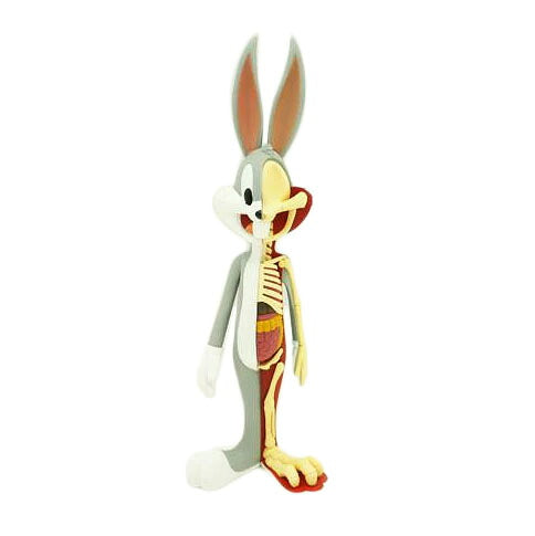 Warner Bros ワーナーブラザーズ/Anatomical Wabbit//ABランク/24