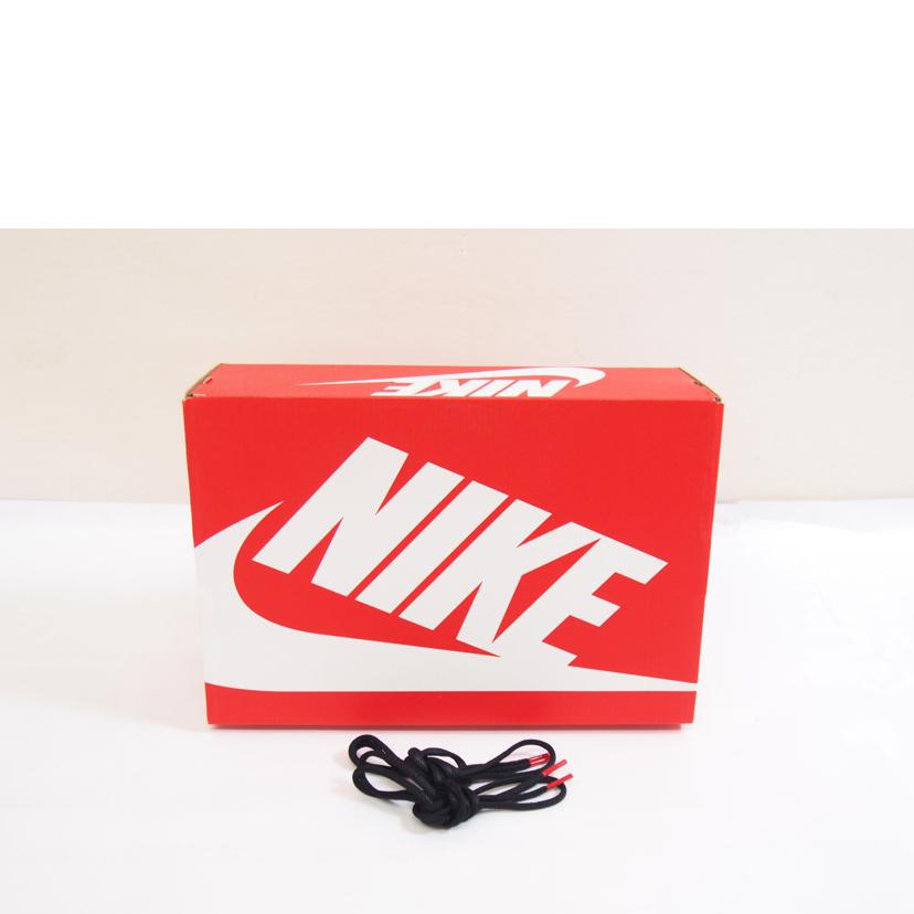 NIKE ナイキ/NIKE AIR MAX DN SE/HM0810-800//Aランク/71