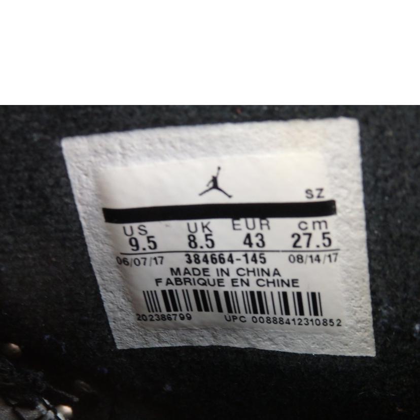 NIKE ナイキ/AIR JORDAN6 RETRO/27.5cm/384664-145//Bランク/84