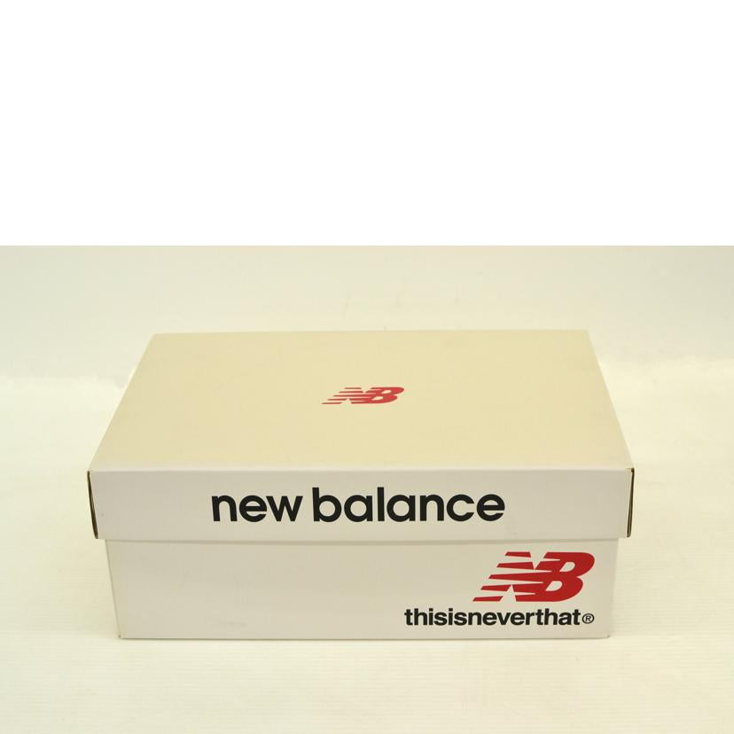 NB ニューバランス/ディスイズネバーザット×1906R/メタリックシルバー/M1906RTI//サイズ:27cm/Aランク/75