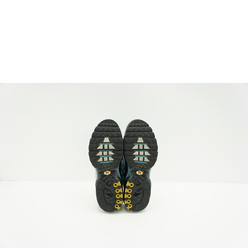 NIKE ナイキ/Nike Air Max Plus "Aqua/Black/White/Metallic Silver"/CV8838-400//ABランク/41