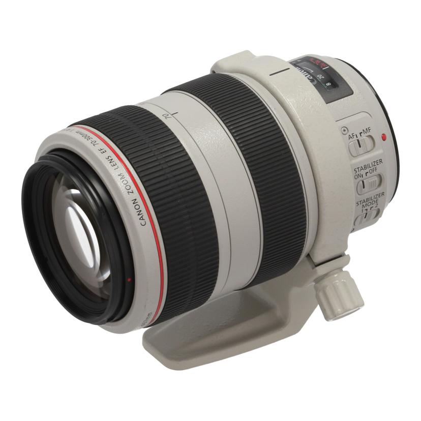Canon キャノン/デジタル対応レンズ/EF70-300mm F4-5.6L IS USM//7000002425/Bランク/70