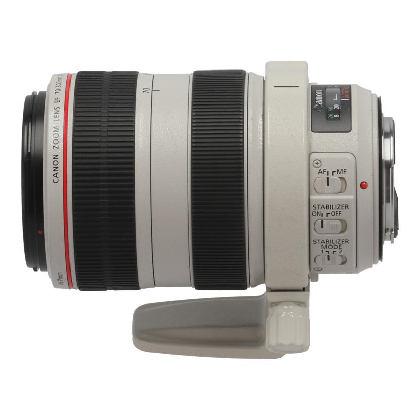 Canon キャノン/デジタル対応レンズ/EF70-300mm F4-5.6L IS USM//7000002425/Bランク/70