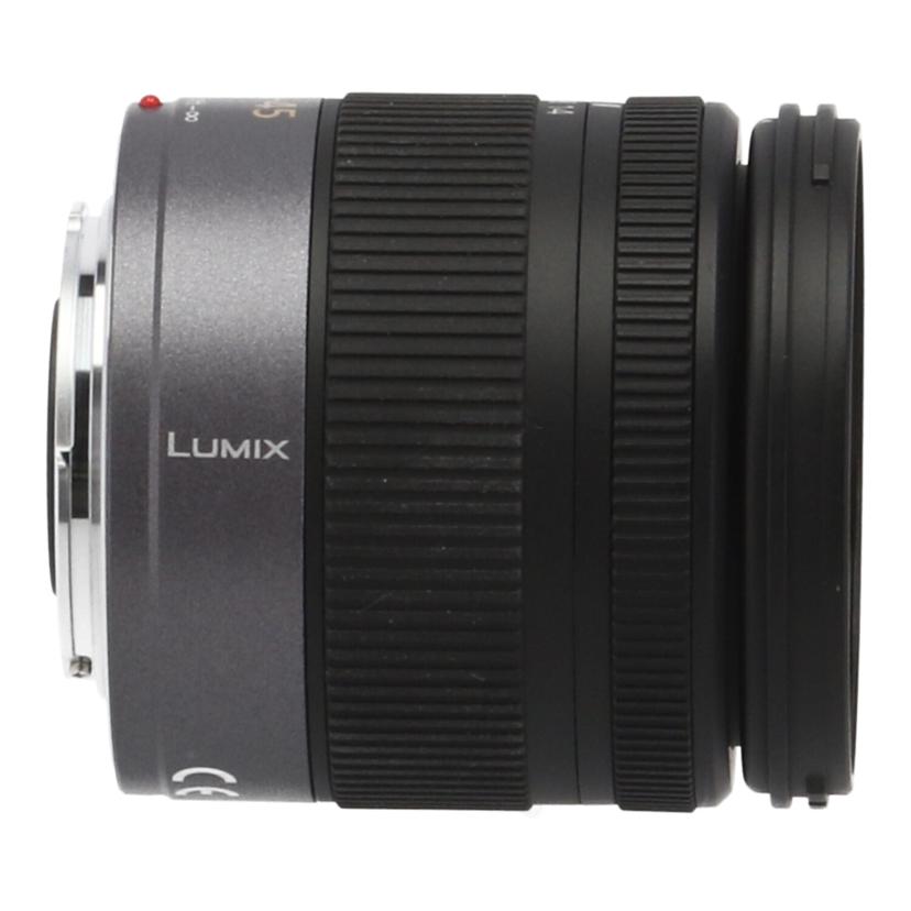 Panasonic パナソニック /交換レンズ/14-45mm/H-FS014045//BR2KD006825/Bランク/81