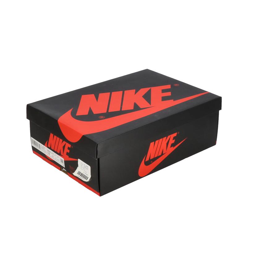 NIKE ナイキ/AIR JORDAN 1 ELEMENT GORE-TEX/DB2889-100//ABランク/05