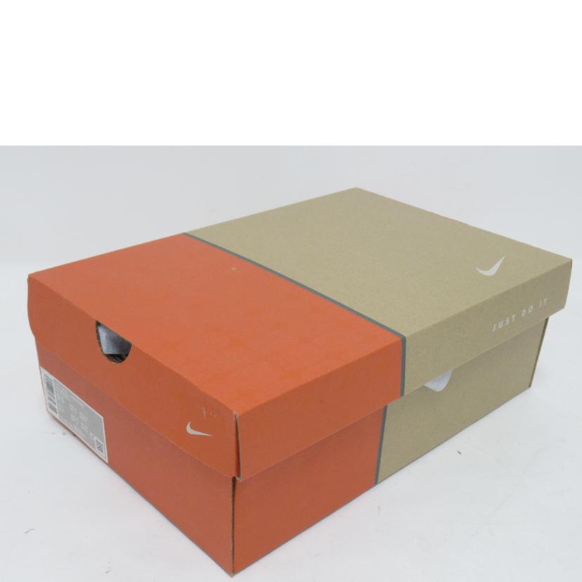 NIKE/AIR FORCE 1 LOW RETRO/DJ3911-100//ABランク/63
