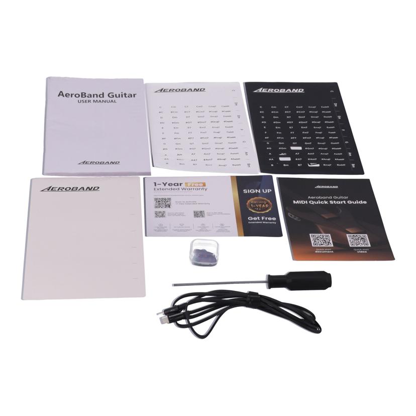 AeroBand エアロバンド/スマートギター/AeroBand Guitar//AGINYB3D420/ABランク/64