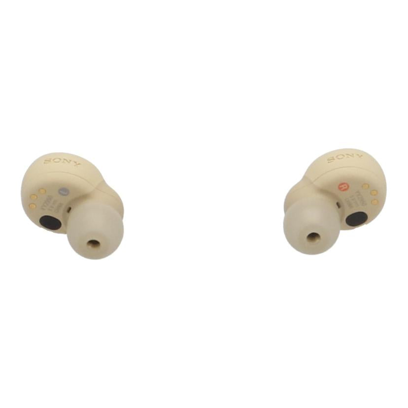 SONY ソニー /ワイヤレスイヤホン/LinkBuds S/WF-LS900N//S0140038078/Bランク/01